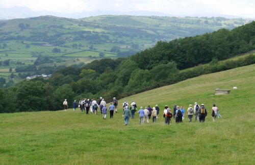Group walkin down hillside to the reserve